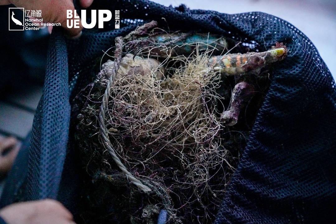 世界海洋日，與億角鯨一起共度BLUE UP蔚藍力量「我與海洋的12小時」