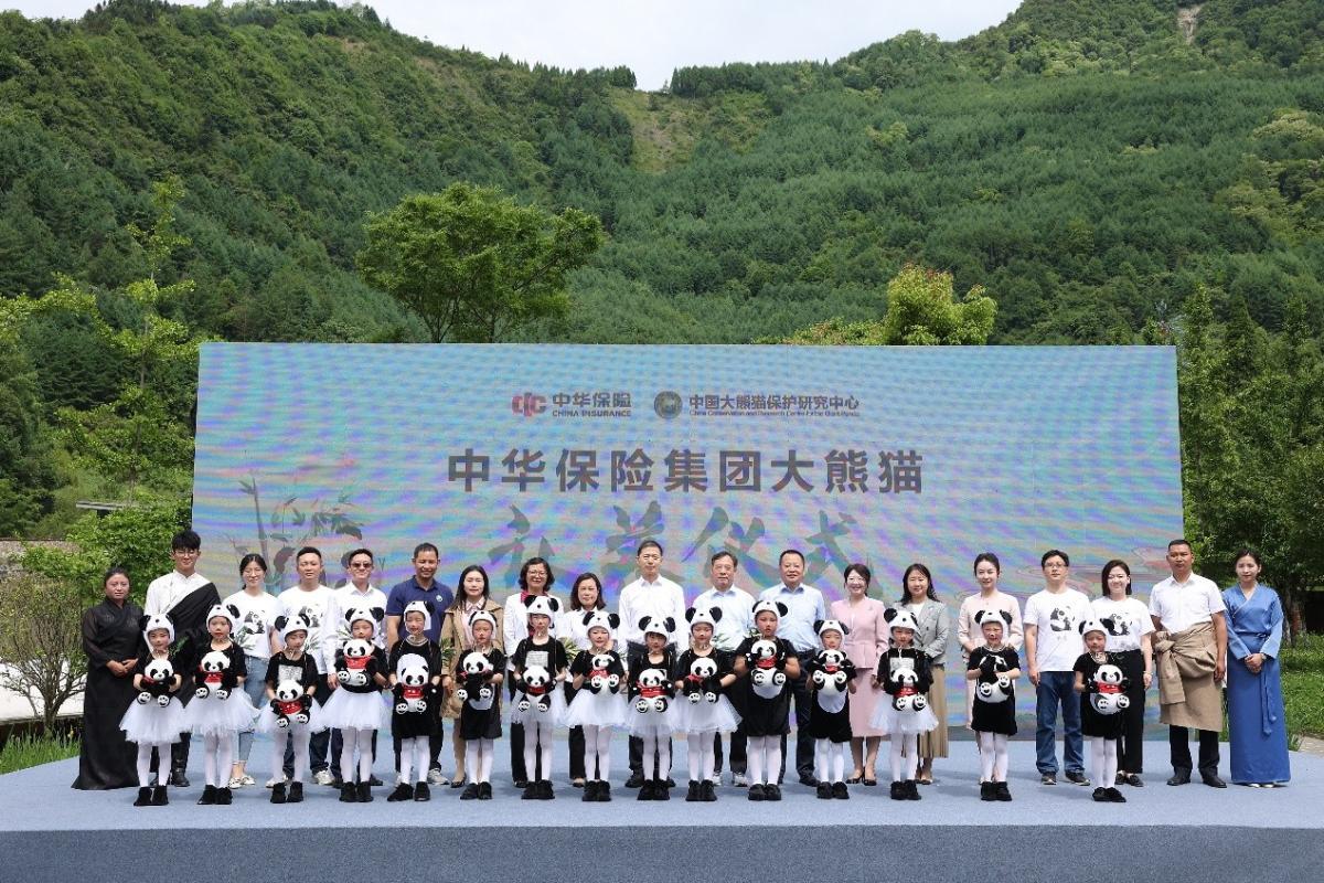 助力“美麗中國”建設！中華保險集團成功舉辦大熊貓認養儀式