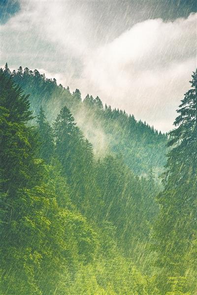 代糖可以敞開喫？只有零添加纔是好醬油？……10月謠言榜出爐！