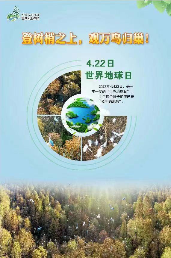 第54個世界地球日 “小小衛士”植樹活動在江蘇金湖水上森林舉辦