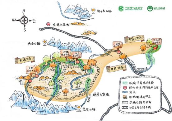 千畝樹木紮根荒漠，綠色公民守護“絲路”