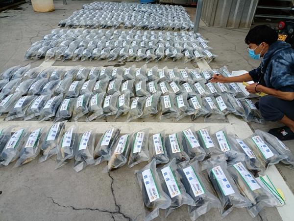 復商復市進行時 煙火貴陽正復甦