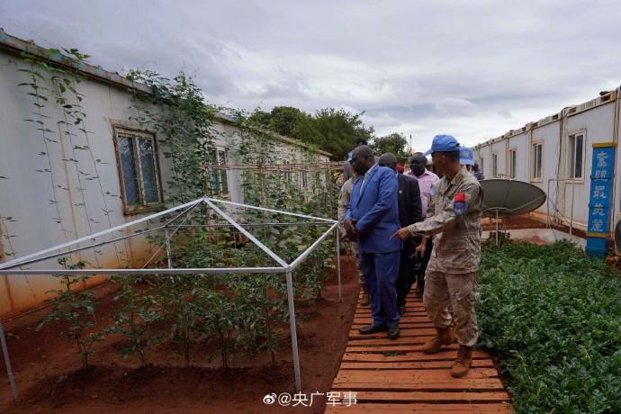 傳統技能！中國藍盔傳授蔬菜種植技術