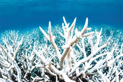 升溫突破1.5℃後，地球會怎樣？