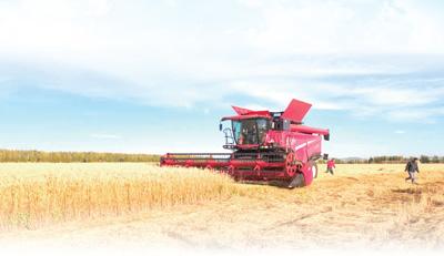 農機鳴響 顆粒歸倉