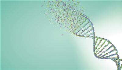 人類泛基因組首個草圖發佈 讓“生命天書”更具全球代表性