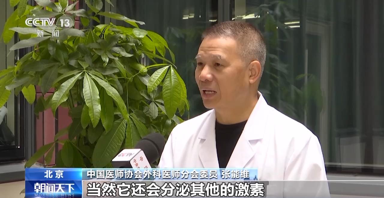 肥胖已成嚴重社會性健康問題 如何科學減重？專家建議→