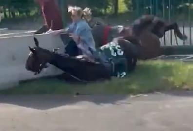 英國大獎賽賽馬撞傷女觀衆，動保組織惹禍？