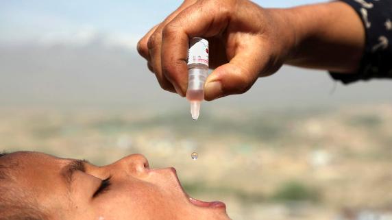 泛美衛生組織：12個美洲國家面臨小兒麻痹症暴發風險