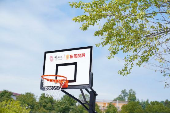 守護鄉村孩子的健康成長 公益籃球場落子貴州、江西