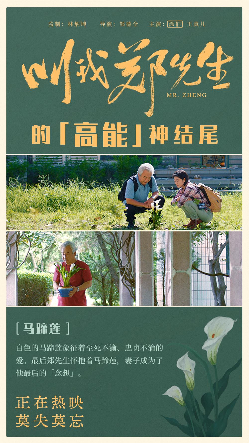 塗們《叫我鄭先生》片尾大反轉 細節滿滿飽含深情