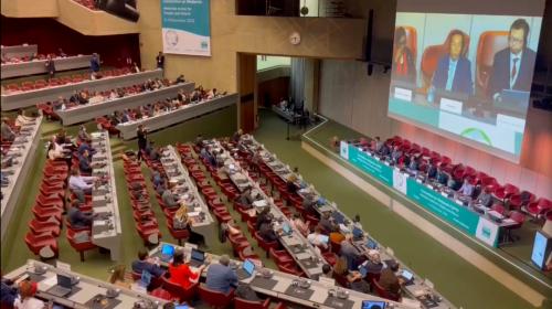 COP14閉幕 | 阿拉善SEE持續推動溼地保護社會化參與