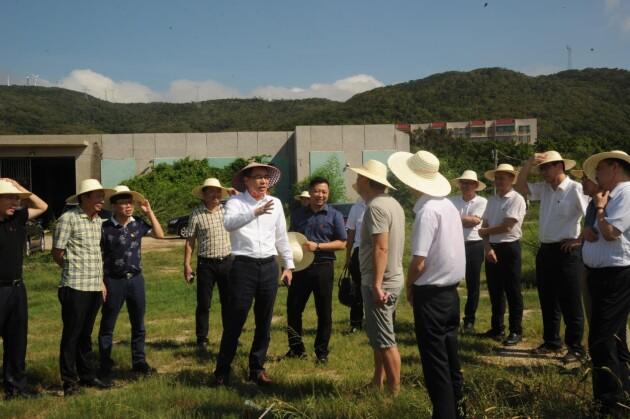 農文旅促消費 郵政攜手“民宿+”打開全新想象空間