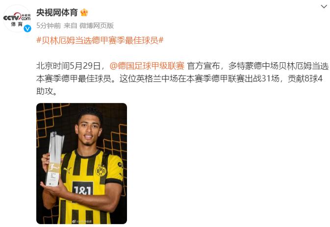貝林厄姆當選德甲賽季最佳球員