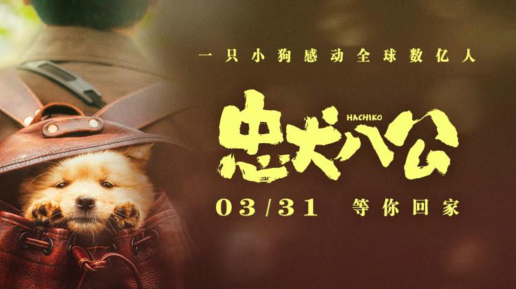 電影《忠犬八公》發特輯 人和狗狗戲裏戲外有愛相伴