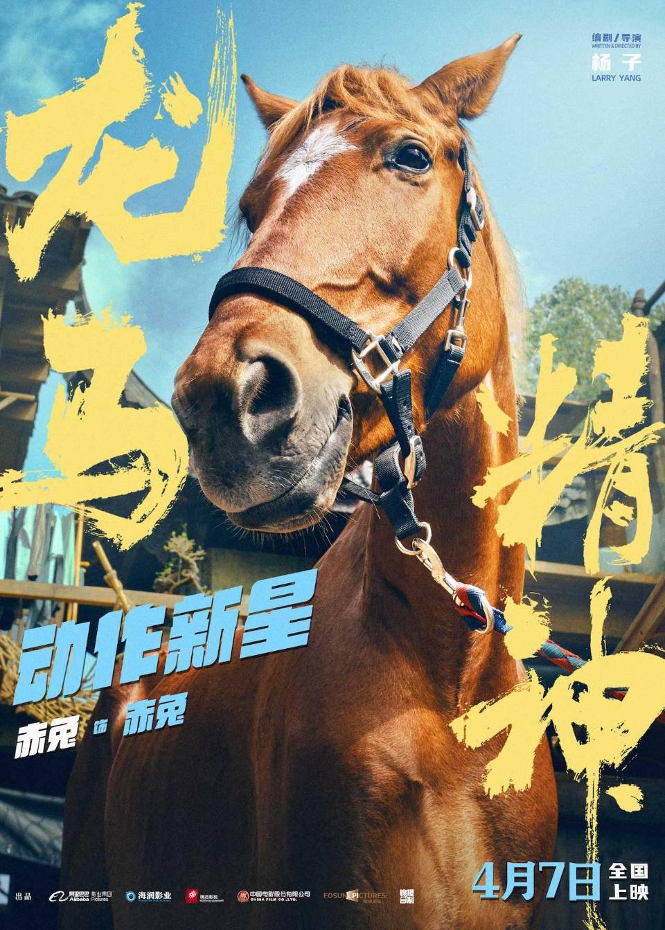 電影《龍馬精神》預告 小馬赤兔機智“救”成龍