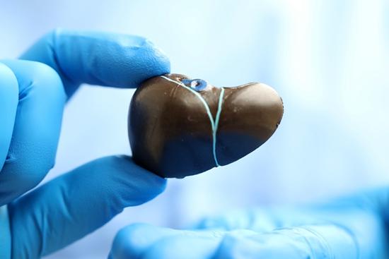 乙肝疫苗會失效，沒有抗體需及時補種