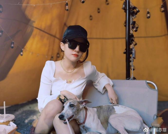 劉亦菲穿白色連衣裙 與狗狗互動畫面美好