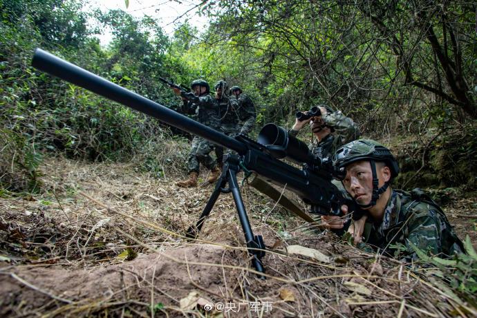 礪兵密林！直擊武警特戰隊員反恐演練