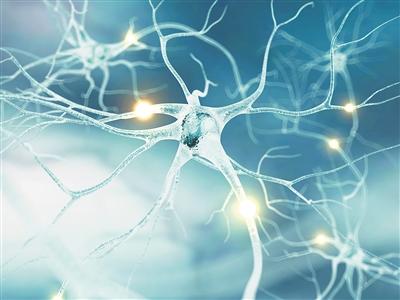 新型半導體纖維或可修復神經損傷