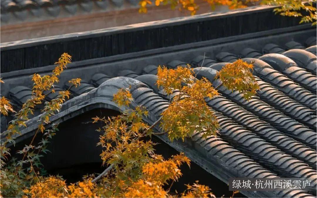 綠城裝飾集團《中式瓦屋面工程技術規程》審查通過