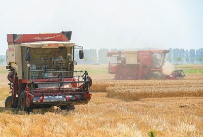 耕好節糧減損“無形良田”