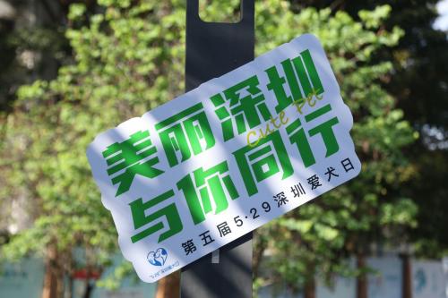 第五屆5·29深圳愛犬日，愛犬會場樂相聚，文明養犬入人心