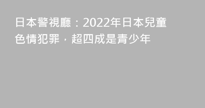 日本警視廳：2022年日本兒童色情犯罪，超四成是青少年
