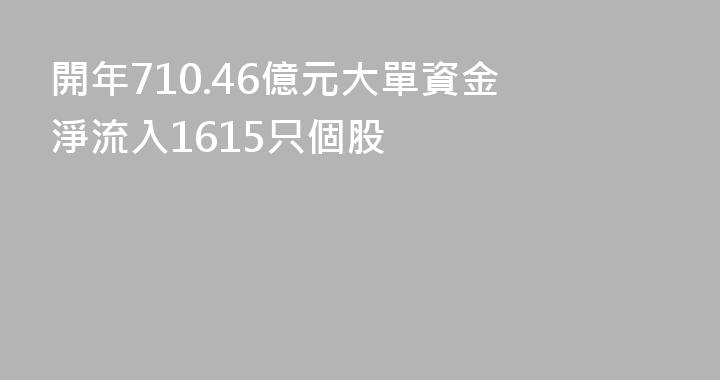 開年710.46億元大單資金 淨流入1615只個股