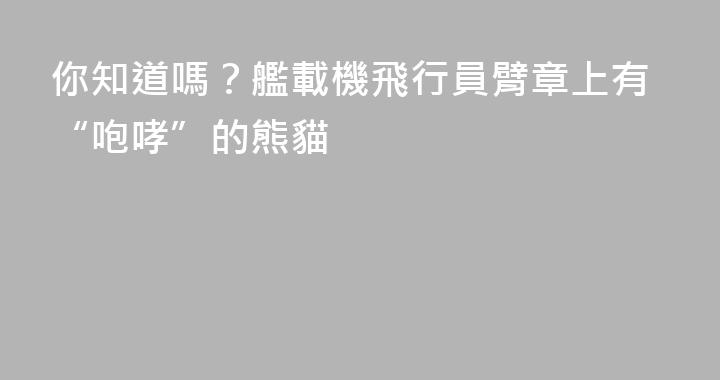 你知道嗎？艦載機飛行員臂章上有“咆哮”的熊貓