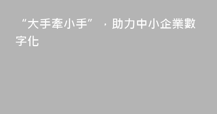 “大手牽小手”，助力中小企業數字化