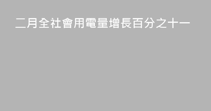 二月全社會用電量增長百分之十一