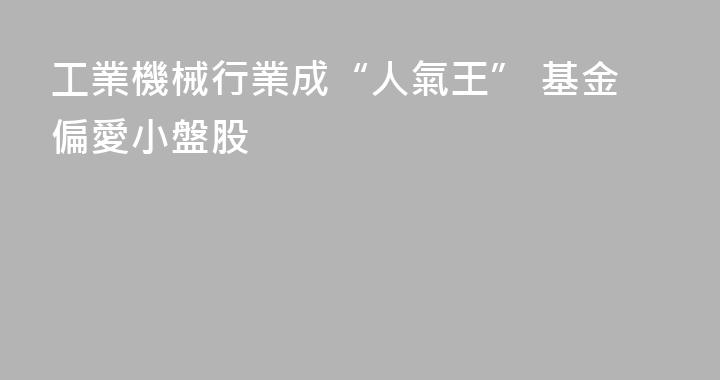 工業機械行業成“人氣王” 基金偏愛小盤股