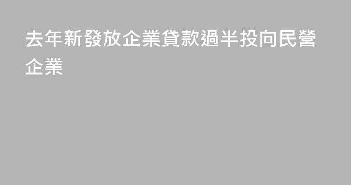 去年新發放企業貸款過半投向民營企業