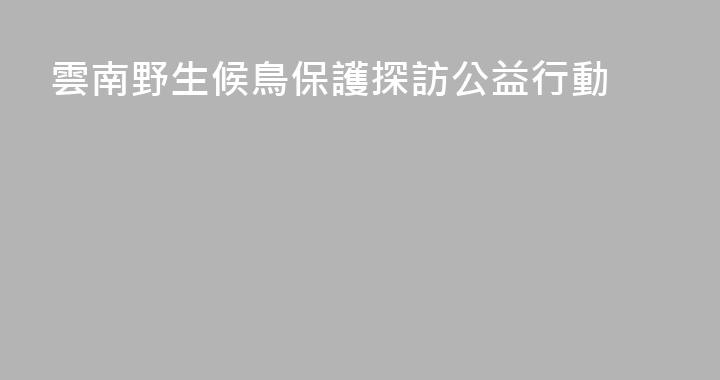 雲南野生候鳥保護探訪公益行動