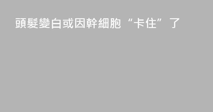頭髮變白或因幹細胞“卡住”了
