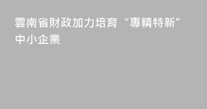 雲南省財政加力培育“專精特新”中小企業