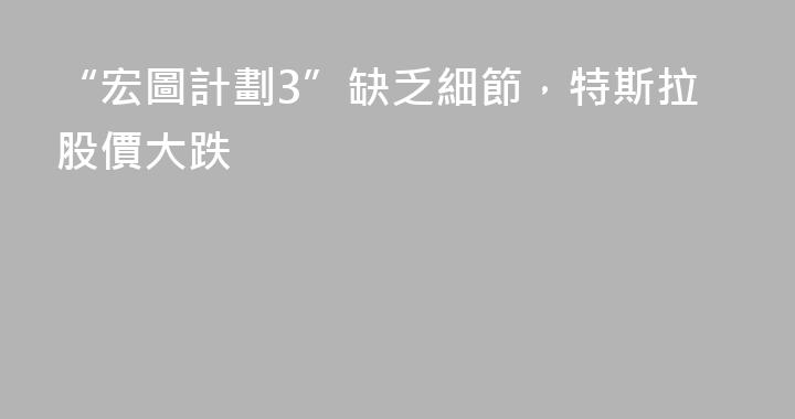 “宏圖計劃3”缺乏細節，特斯拉股價大跌
