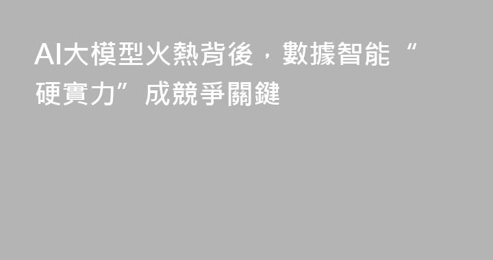 AI大模型火熱背後，數據智能“硬實力”成競爭關鍵