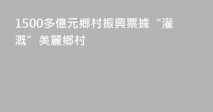 1500多億元鄉村振興票據“灌溉”美麗鄉村
