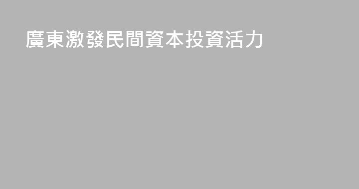 廣東激發民間資本投資活力