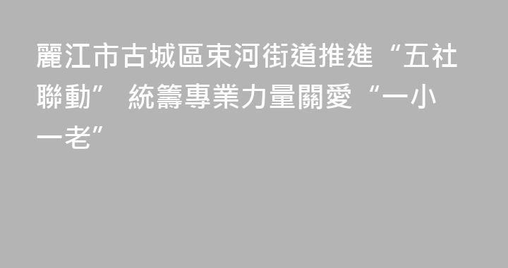麗江市古城區束河街道推進“五社聯動” 統籌專業力量關愛“一小一老”
