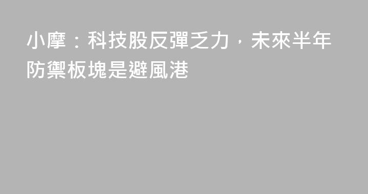 小摩：科技股反彈乏力，未來半年防禦板塊是避風港