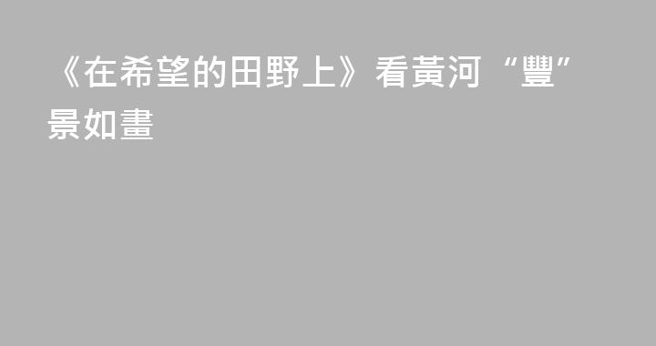 《在希望的田野上》看黃河“豐”景如畫