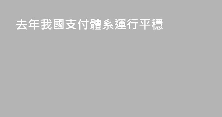 去年我國支付體系運行平穩