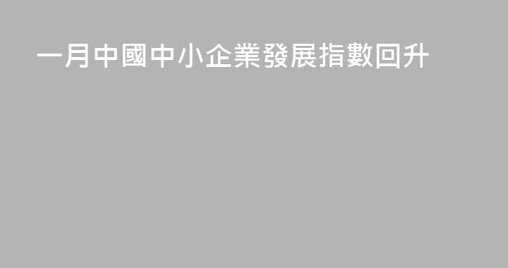一月中國中小企業發展指數回升