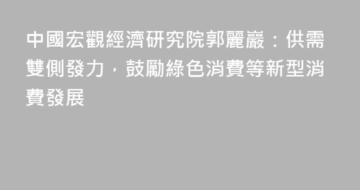 中國宏觀經濟研究院郭麗巖：供需雙側發力，鼓勵綠色消費等新型消費發展