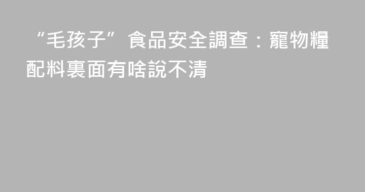 “毛孩子”食品安全調查：寵物糧配料裏面有啥說不清