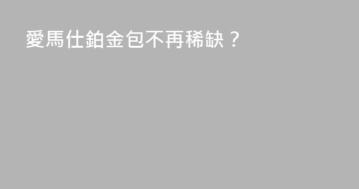 愛馬仕鉑金包不再稀缺？