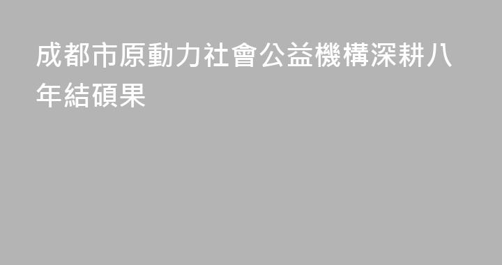 成都市原動力社會公益機構深耕八年結碩果